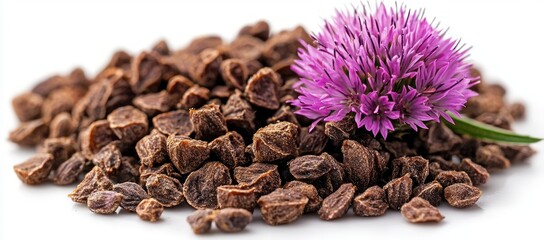 Wall Mural - Close-up of chive seeds and flower.