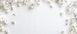 © Tanish - White cherry blossoms border frame, white spring summer background