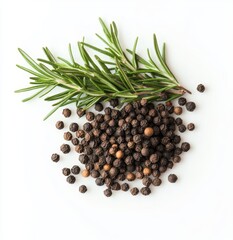 Sticker - Rosemary sprig and black peppercorns on white.