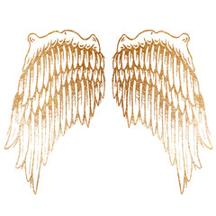Wall Mural - golden wings sticker overlay design element