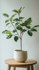 Poster - Natural light illuminates a potted plant and a coffee cup in a cozy indoor setting