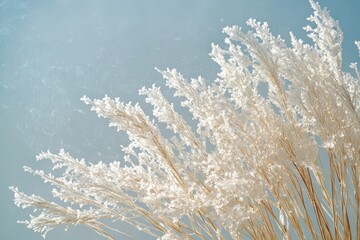 Wall Mural - White plants swaying gently in the wind against blue background