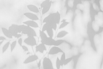 Aufkleber - Leaf shadow and light on wall blur background. Nature tropical leaves tree branch and plant shade with sunlight from sunshine dappled on white wall texture for background wallpaper and any design