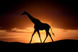 © Arthur Constantine - Silhouette of a Giraffe Walking Against a Majestic Sunset in Vibrant Orange and Purple Skies