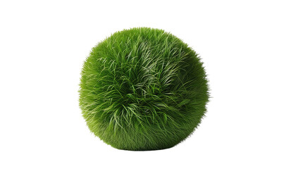 grass ball (png)