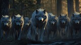A pack of wolves walks through a dark forest