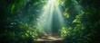 © adiba - Sunbeams illuminate a jungle path.