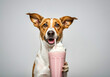 © Hanna - Dog enjoys a milkshake in a cheerful indoor setting with playful expression
