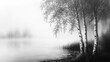 © LyceeChee - Monochromatic Birch Trees by a Misty Lake