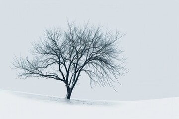 Poster - Lonely tree stands against a pale sky on a cold winter day, highlighting the beauty of nature in its stark, minimalist form