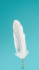 Wall Mural -   White feather floats on blue background with droplet below