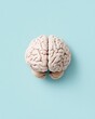 © MaxStock - Human Brain Model on Blue Background