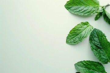 Wall Mural - fresh peppermint leaves isolated on white top view peppermint