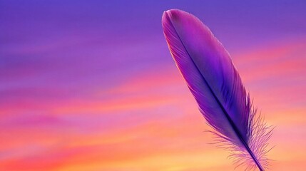 Wall Mural -   A bird's feather against a gradient of purple, pink, and blue skies and backdrop