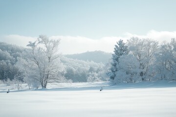 Aufkleber - Snowy landscape with frost-covered trees and distant mountains under a clear sky.