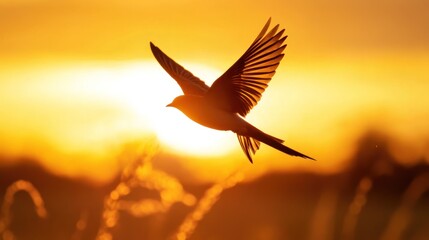 Aufkleber - Silhouette of a bird in flight during a vibrant sunset.