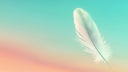 Wall Mural -    a white feather on a blue and pink backdrop with a hazy sky as the background