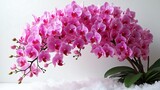 Stunning Pink Phalaenopsis Orchid Flower Bouquet on Snow