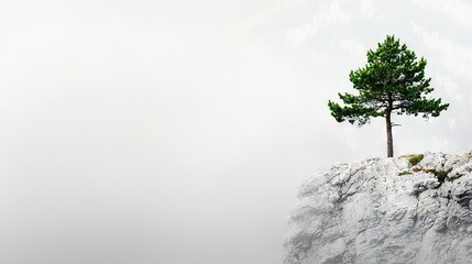 Wall Mural -   A solitary pine tree perches atop a rugged cliff amidst the hazy mountains