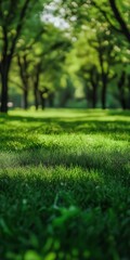 Poster - A lush green field with trees in the background. The grass is very green and the trees are tall