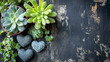 © Dusit - A Small succulents and heart stones create minimal composition with romantic mood. Perfect for flat lay with copy space