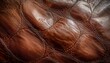© Timothy - close up of a leather surface with a brownish color the leather is wrinkled and has a worn look to it