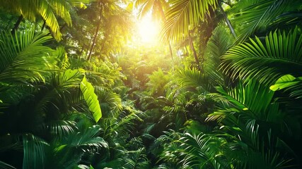 Poster - This Golden sunlight breaks through dense greenery in a tropical forest at dawn, illuminating the scene.