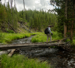 Wall Mural - Water Rushes Under Hiker On Tree Trunk Bridge