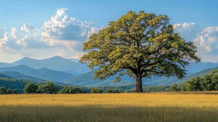 Wall Mural - Lone tree in a golden field with mountains.