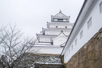 Wall Mural - 会津若松 鶴ヶ城雪景色