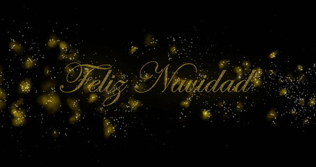 Wall Mural - image of abstract patterns and feliz navidad text over black background