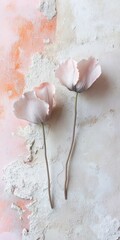 Canvas Print - Pastel Pink Poppies on Textured Wall - Minimalist Nature Aesthetic