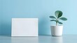 © MrSani - blank white board  mini plant pot beside it, a sky blue backdrop, a simple creative potential concept