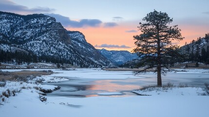 Wall Mural - Serene winter sunrise over frozen lake with lone pine tree.