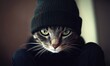 © Luxetify - Grumpy cat in beanie, indoor portrait, blurred background, meme