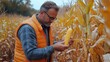 © Gayan - Farmer Harvesting Corn in Field | Agriculture | Farm Life