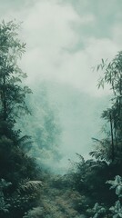 Poster - Misty Forest Path: A Serene Jungle Landscape