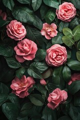 Wall Mural - Pink Flowers with Green Leaves