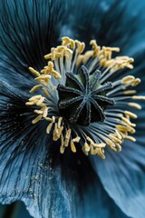 Poster - Blue flower with yellow stamens