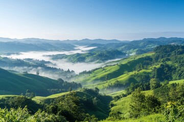 Aufkleber - Rolling green hills with layers of mist rising from valleys create a serene landscape bathed in soft morning light, perfect for relaxation and contemplation