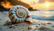 © Anna - close up nautilus shell