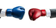 © Deja - hands Put arm in suit professional wearing  two man hands in red and blue boxing