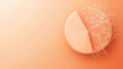 Poster - Abstract pie chart with network growing from a segment, on peach background.