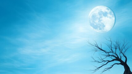 Wall Mural - A lone tree in the middle of a field with a full moon in the background