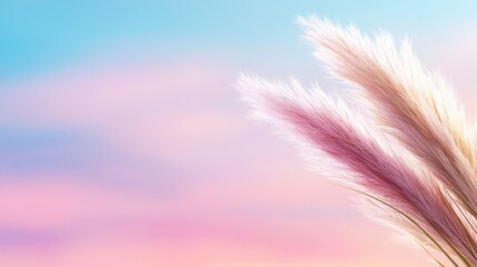 Poster - pampas grass against a pink and blue sky