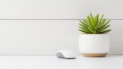 Poster - Minimalist workspace with computer mouse and succulent plant.