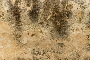 Wall Mural - Wall Textured Close-Up Beige Brown Rusty Weathered Vintage Design Detail