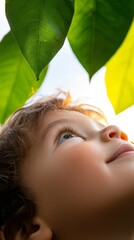 Poster - A young boy looking up at a green leaf