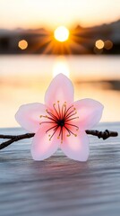 Wall Mural - A pink flower sitting on top of a wooden table