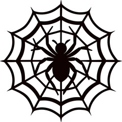 spider on web
